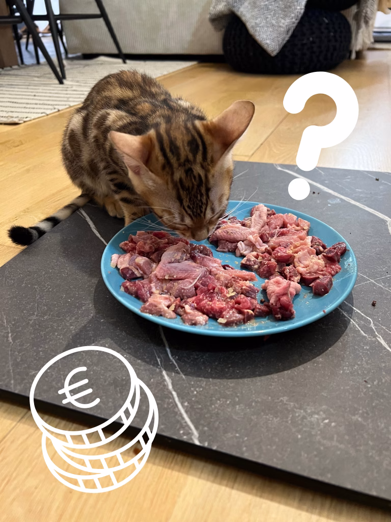 Lire la suite à propos de l’article Le coût de l&rsquo;alimentation pour chat en 2025