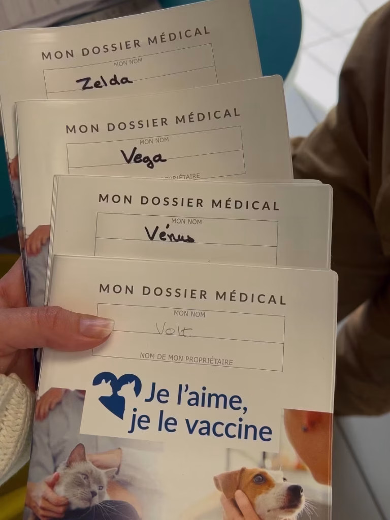 Lire la suite à propos de l’article La vaccination des chats